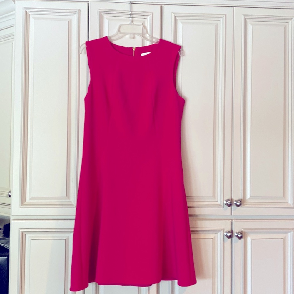 Kate Spade rose knee length shift size 12, princess styling, flared skirt.